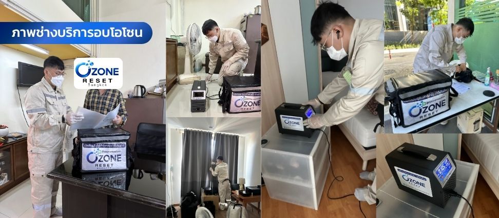 อบโอโซนกำจัดกลิ่นสัตว์เลี้ยง 8 บริการอบโอโซนกำจัดกลิ่นอับและฆ่าเชื้อโรค ในบ้านและคอนโด โดย Ozone Reset Bangkok