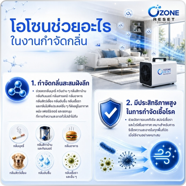 อบโอโซนกำจัดกลิ่นสัตว์เลี้ยง 2 โอโซนช่วยลดกลิ่นอับ กลิ่นบุหรี่ กลิ่นสัตว์เลี้ยง และกลิ่นสะสมในห้อง โดย Ozone Reset Bangkok