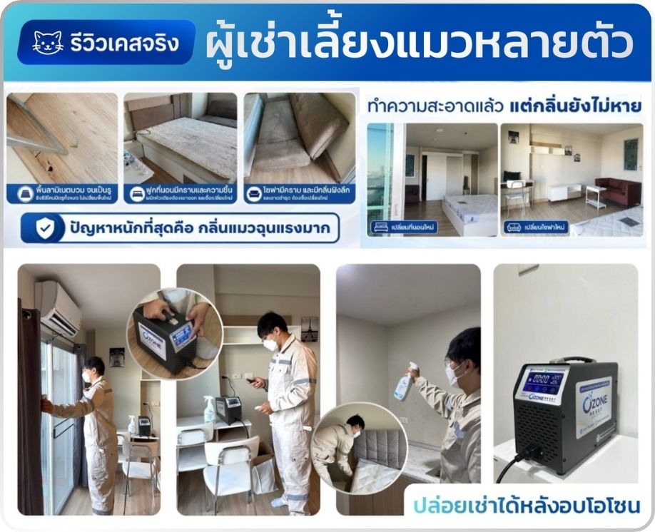 ฟีดแบ็กลูกค้าเคสอบโอโซนกำจัดกลิ่นแมวในคอนโดโดย Ozone Reset Bangkok