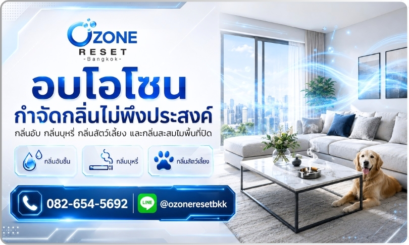 อบโอโซนกำจัดกลิ่นไม่พึงประสงค์ 1 อบโอโซนกำจัดกลิ่นไม่พึงประสงค์ในห้อง ลดกลิ่นอับ กลิ่นบุหรี่ และกลิ่นสัตว์เลี้ยง