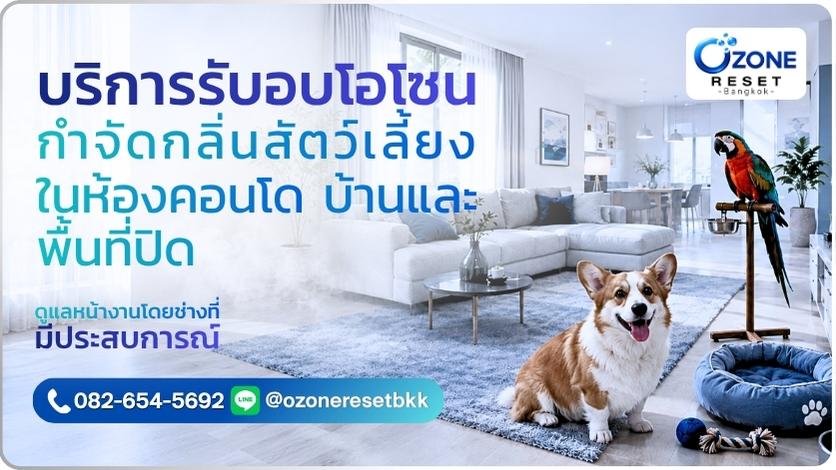 อบโอโซนกำจัดกลิ่นสัตว์เลี้ยง 1 บริการอบโอโซนกำจัดกลิ่นสัตว์เลี้ยงในห้อง คอนโด บ้าน และพื้นที่ปิด