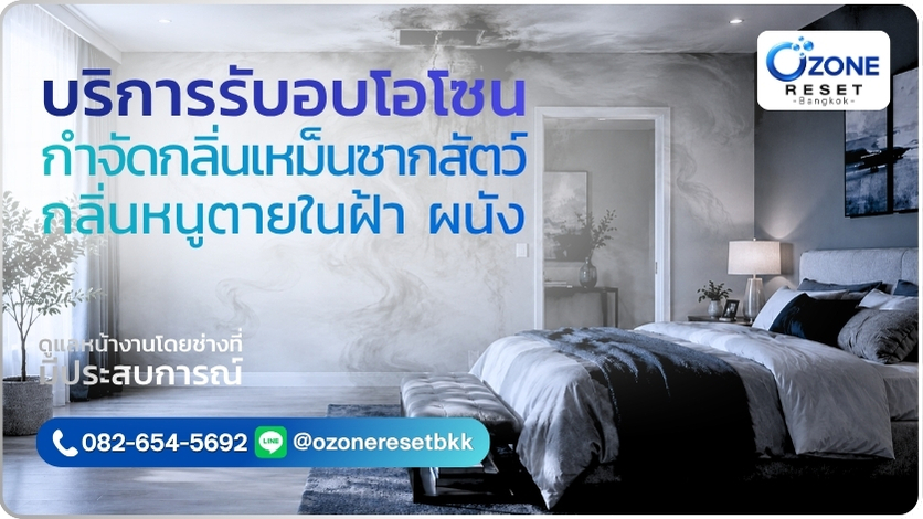 บริการอบโอโซนกำจัดกลิ่นเหม็นซากสัตว์และกลิ่นหนูตายในฝ้า ผนัง และพื้นที่ปิด