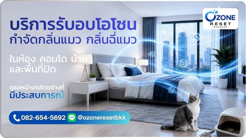 ภาพบริการอบโอโซนกำจัดกลิ่นแมวและกลิ่นฉี่แมวในห้องคอนโด บ้าน และพื้นที่ปิด