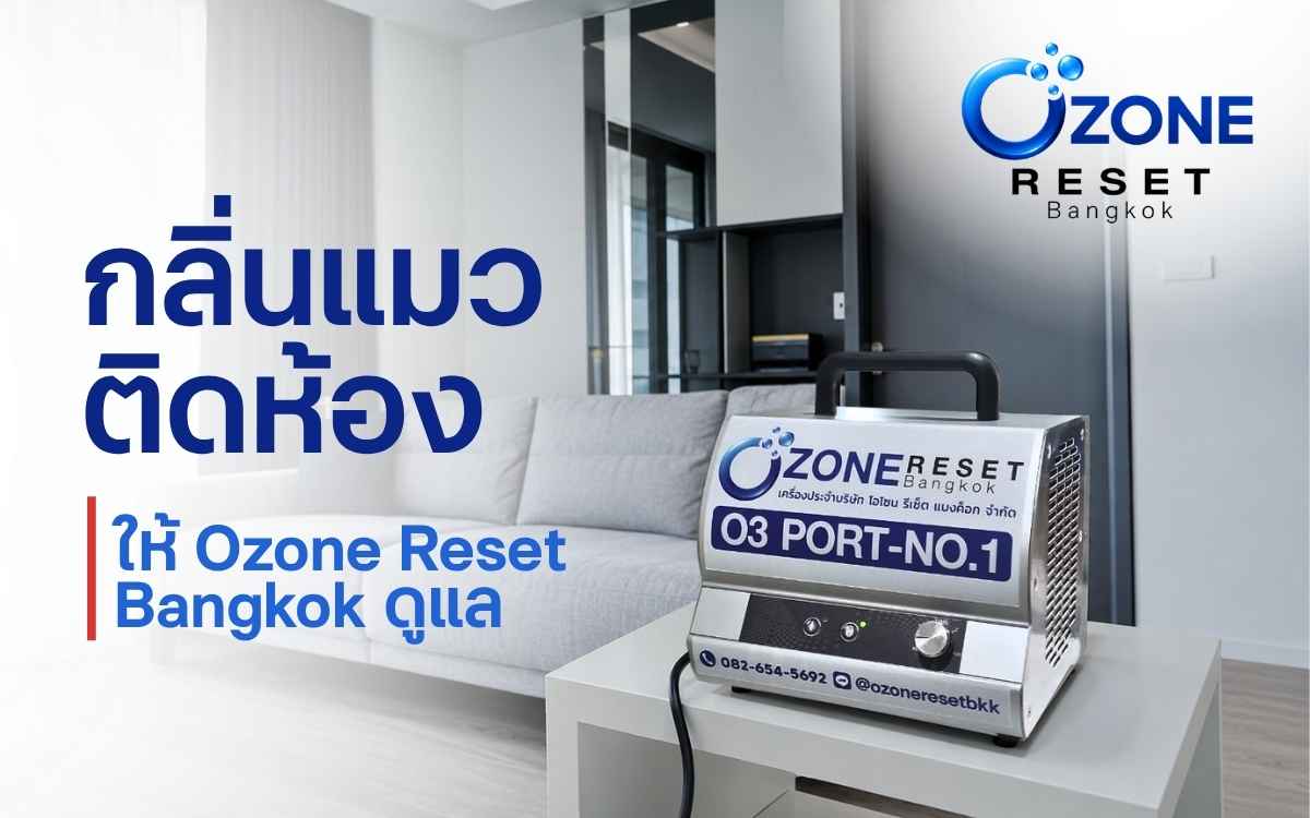 บริการอบโอโซนกลิ่นแมวในคอนโดโดย Ozone Reset Bangkok