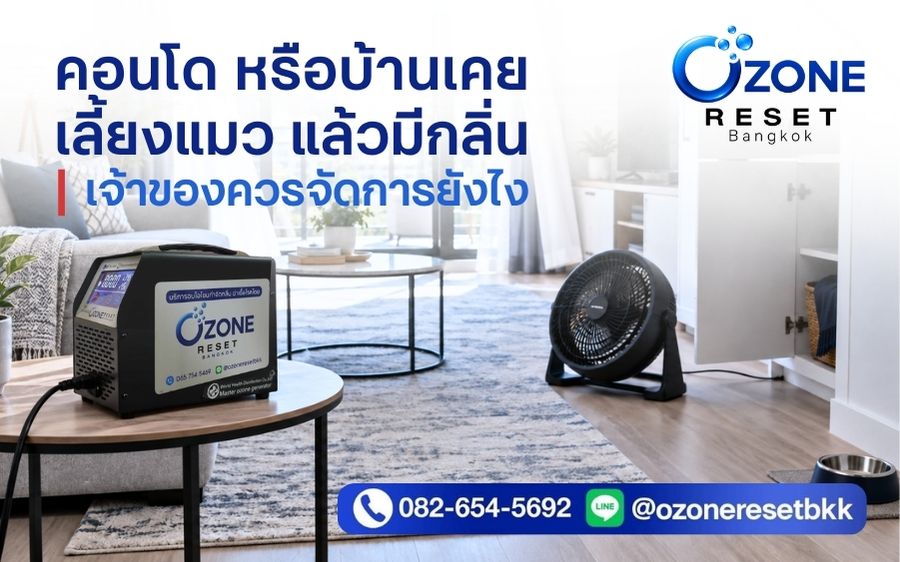 คอนโดหรือบ้านเคยเลี้ยงแมวแล้วมีกลิ่น ควรจัดการกลิ่นก่อนปล่อยเช่าหรือขายต่อ อบโอโซนกำจัดกลิ่นแมวโดย Ozone Reset Bangkok