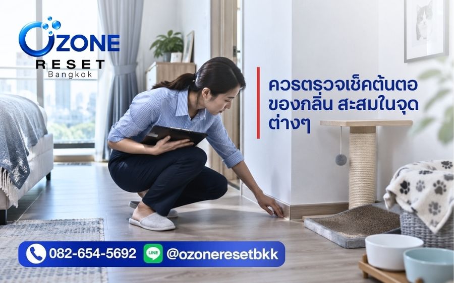 ตรวจสอบต้นตอกลิ่นแมวและกลิ่นสัตว์เลี้ยงที่สะสมตามจุดต่าง ๆ ภายในคอนโดหรือบ้าน