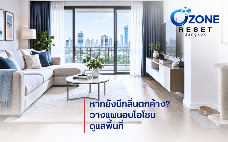หากยังมีกลิ่นแมวสะสมหลังทำความสะอาด สามารถพิจารณาการอบโอโซนเพื่อช่วยดูแลกลิ่นในพื้นที่ปิด