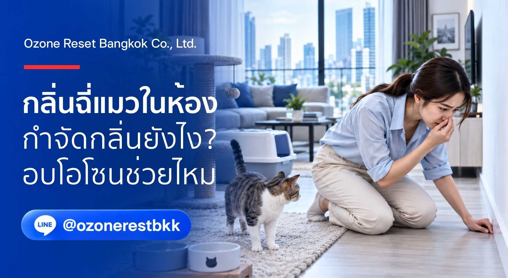 กลิ่นฉี่แมวในห้อง กำจัดกลิ่นยังไง อบโอโซนช่วยกำจัดกลิ่นฉี่แมว กลิ่นสาบแมวได้ไหม โดย Ozone Reset Bangkokjpg