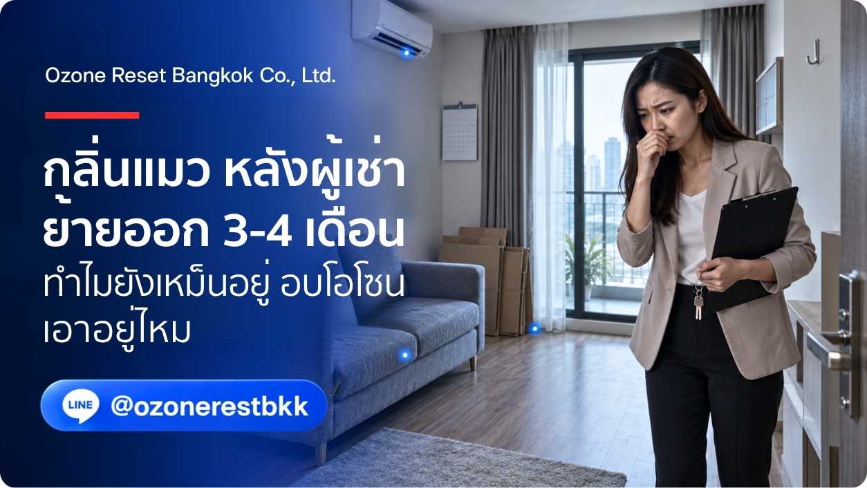 กลิ่นแมวหลังผู้เช่าย้ายออก 3-4 เดือน ทำไมยังเหม็นอยู่ อบโอโซนเอาอยู่ไหม โดย Ozone Reset Bangkok