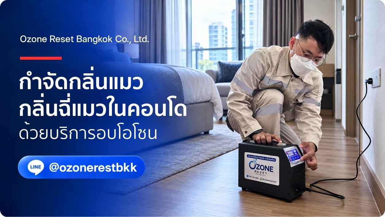 กำจัดกลิ่นแมว กลิ่นฉี่แมวในคอนโด ด้วยบริการอบโอโซน โดย Ozone Reset Bangkok