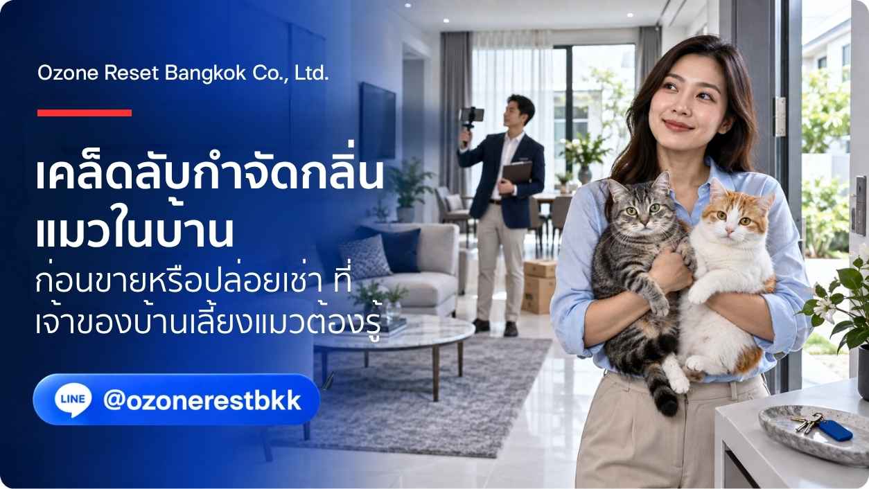 เคล็ดลับกำจัดกลิ่นแมวในบ้านก่อนขายหรือปล่อยเช่า ที่เจ้าของบ้านเลี้ยงแมวต้องรู้ โดย Ozone Reset Bangkok