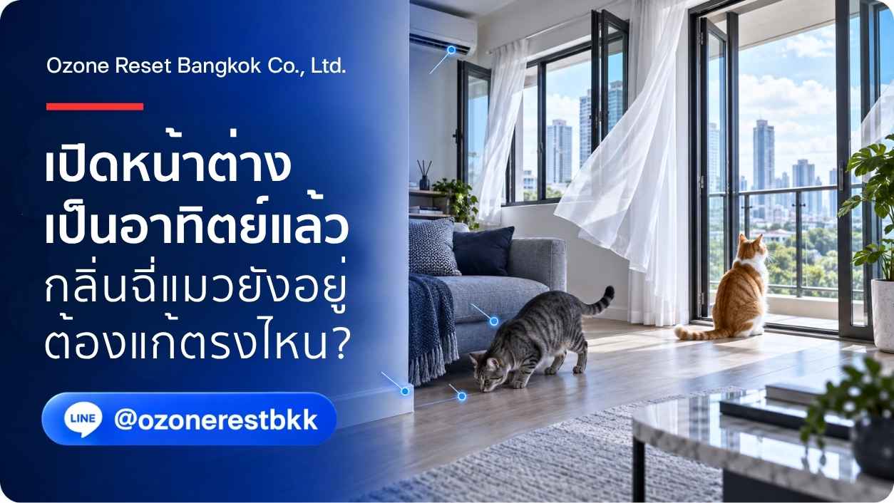เปิดหน้าต่างเป็นอาทิตย์แล้วกลิ่นฉี่แมวยังอยู่ ต้องแก้ตรงไหน โดย Ozone Reset Bangkok