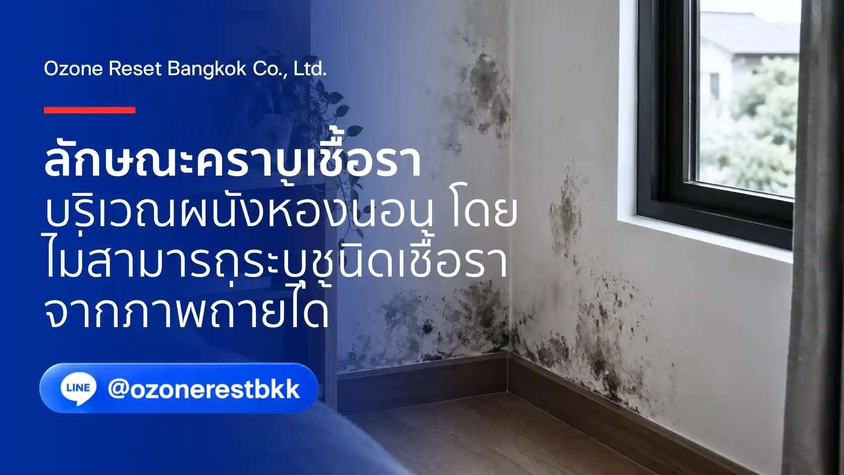 ลักษณะคราบเชื้อราสีดำสะสมบริเวณผนังห้องนอนข้างหน้าต่าง โดย Ozone Reset Bangkok
